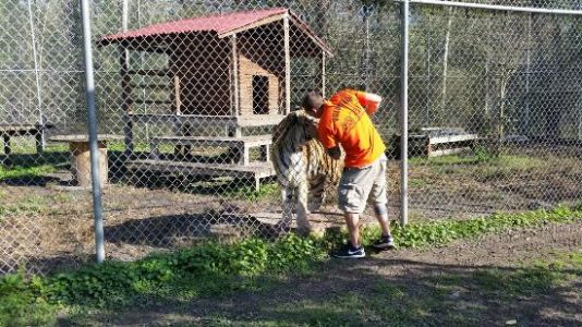 Catty Shack Ranch Wildlife Sanctuary