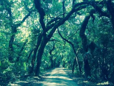 Timucuan Preserve